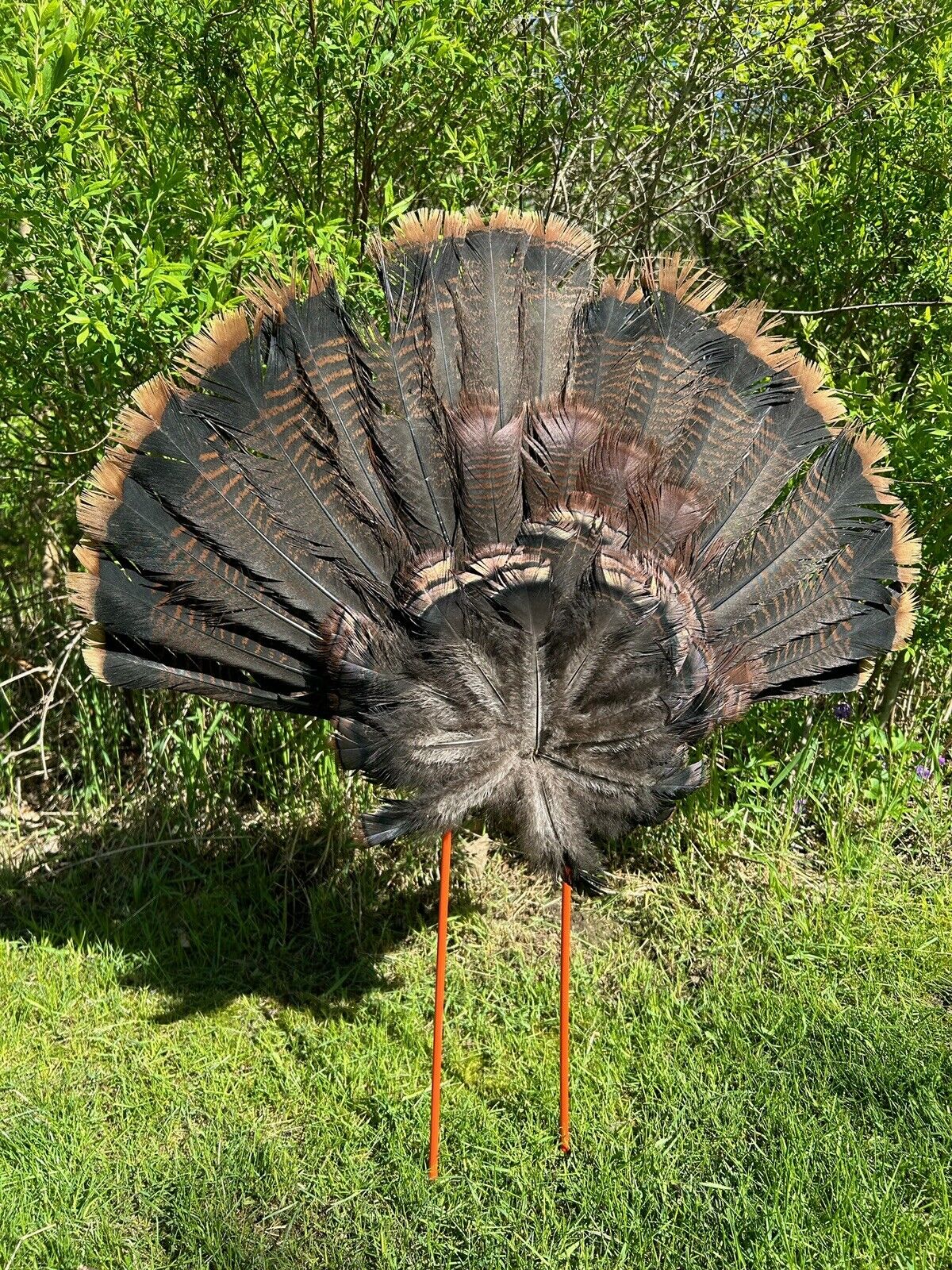 Turkey Hunting Fan Decoy Mount - Wall Mount, Hunt, & Preserve