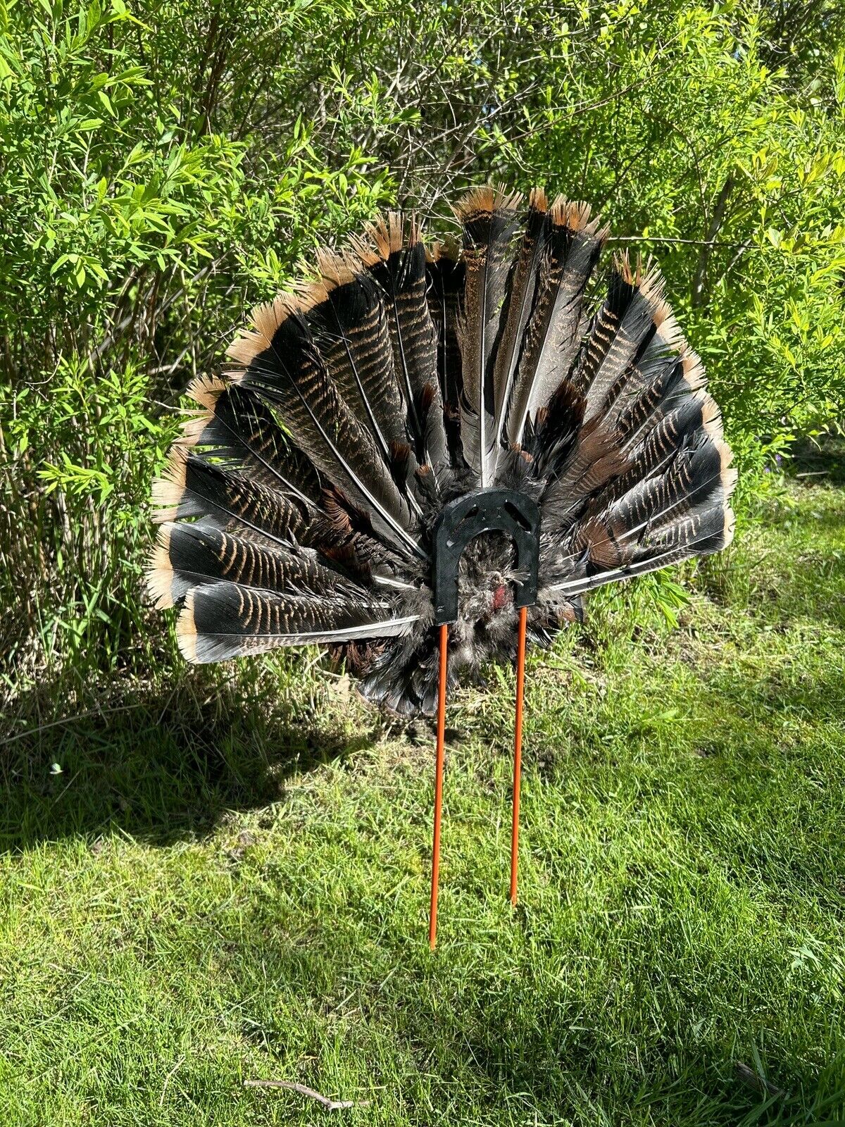 Turkey Hunting Fan Decoy Mount - Wall Mount, Hunt, & Preserve