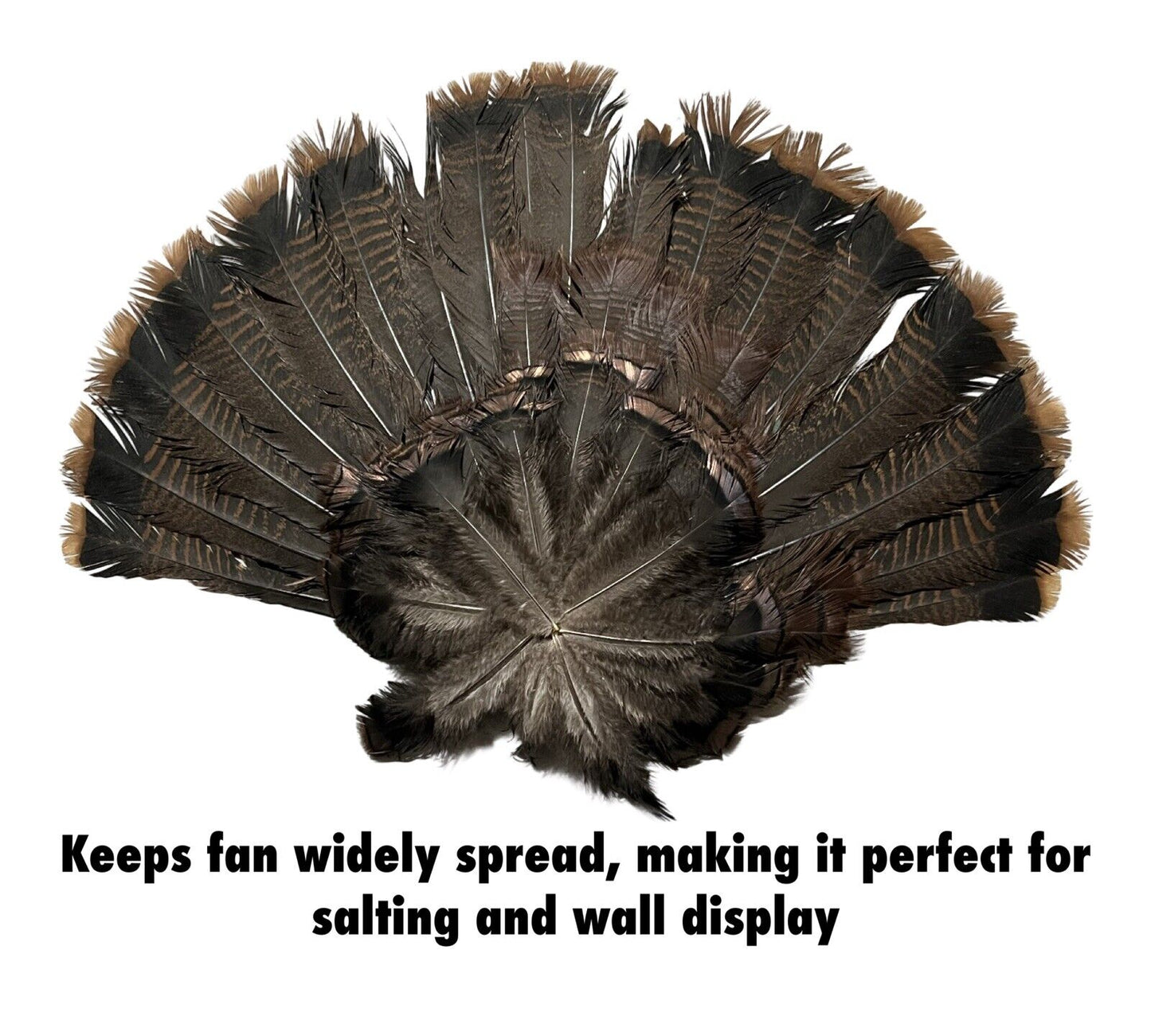 Turkey Hunting Fan Decoy Mount - Wall Mount, Hunt, & Preserve