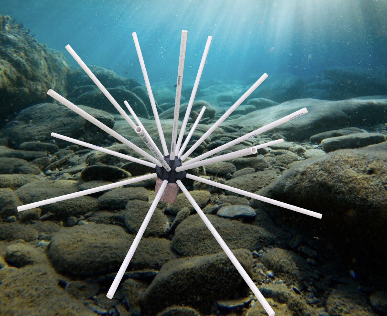 Crappie Structure Creating Aquatic Habitat For Crappie